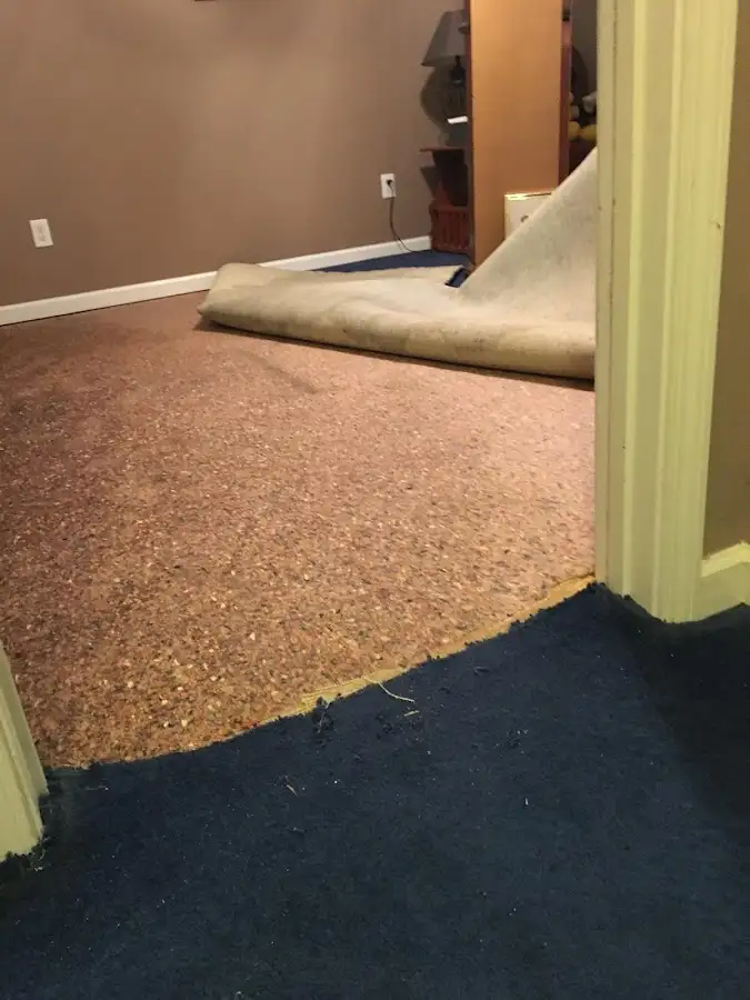 Carpet pad removal revealing water damage during Drying & Dehumidification in Gibsonville
