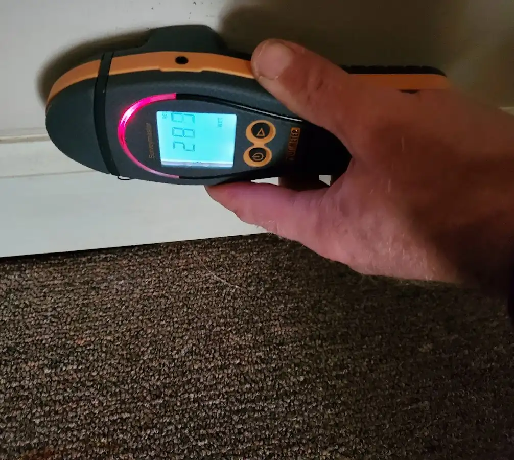 Moisture detection at baseboard during Sewage Cleanup & Sanitation in Gibsonville